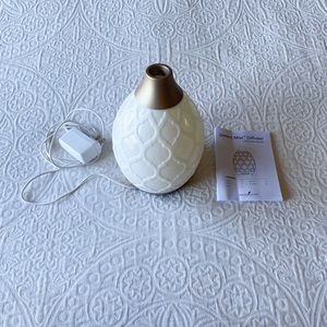 Young Living Desert Mist Diffuser